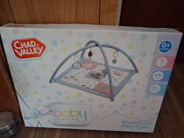 New baby Gym, bouncy chair and footmuff