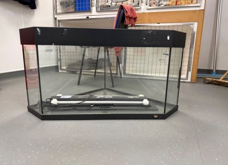 Corner Fish Tank