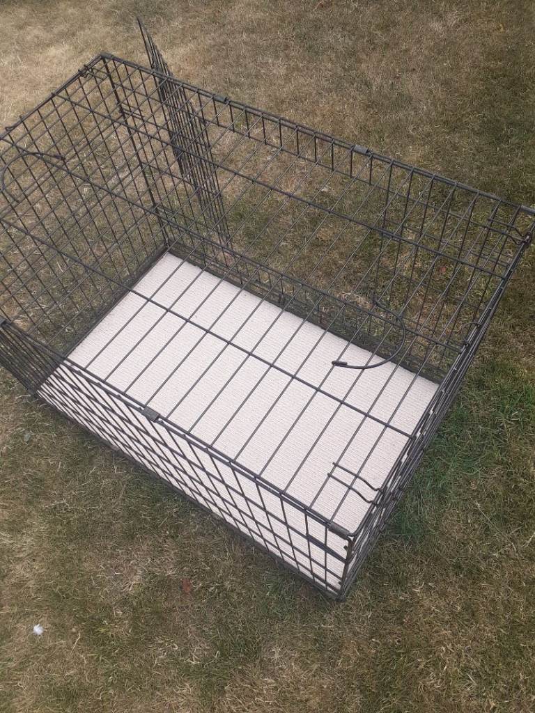Large dog crate