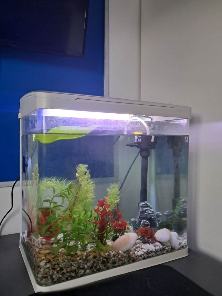 Small Fish Tank / Aquarium with Light and Filter