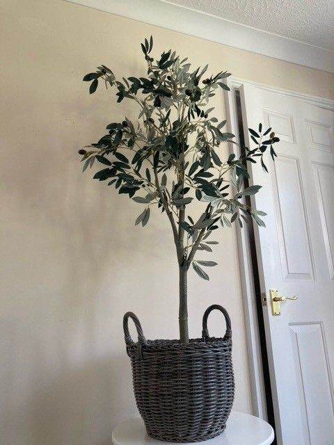 Lovely Artificial Olive Tree in Grey Woven Basket