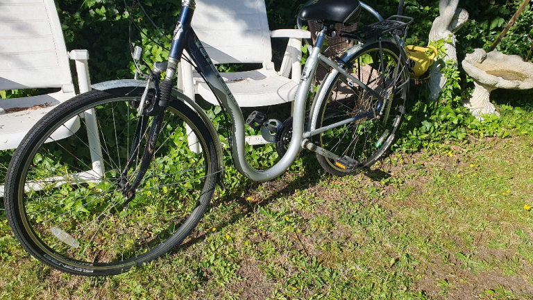 Adult Bicycle 