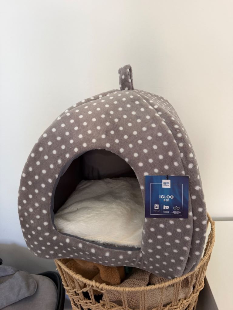 Bed for pets