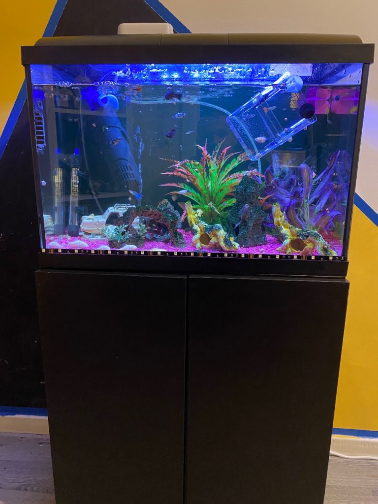 2FT fish tank 