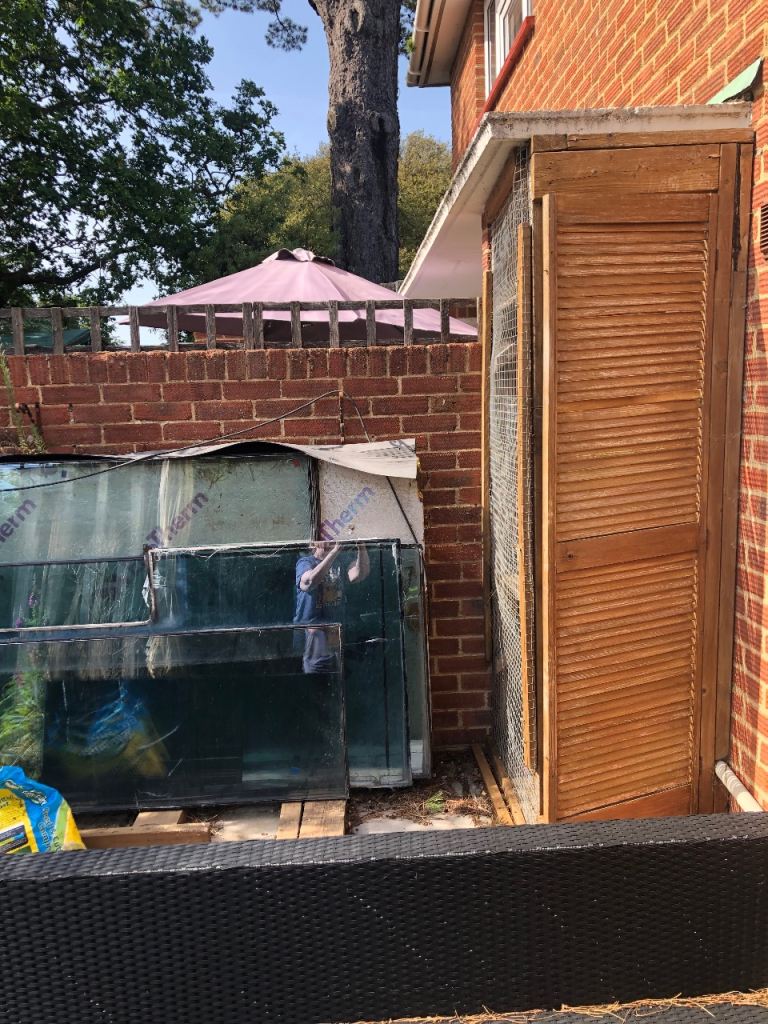 Catio