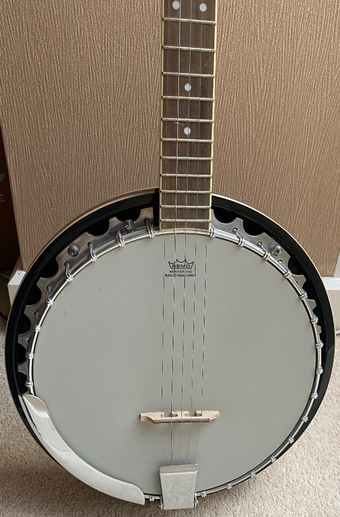 Ashbury AB-35 5 string Banjo