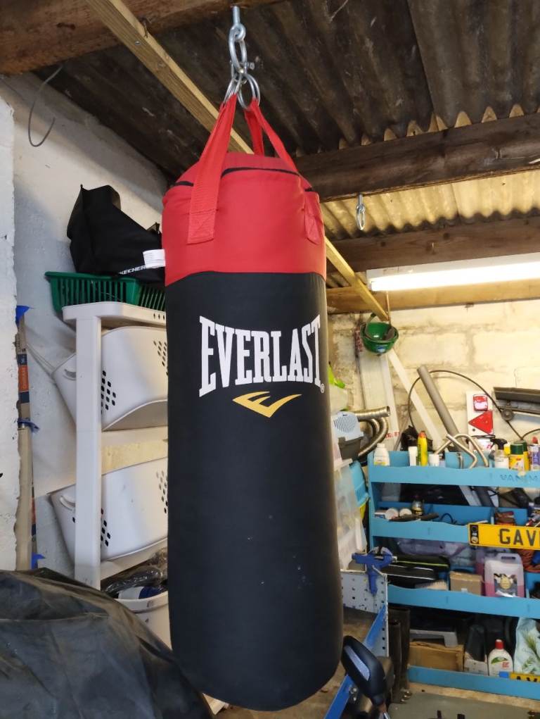 Very good condition everlast punch bag £65 ono