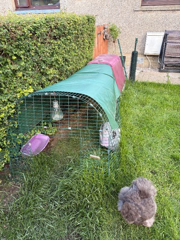 Omlet Eglu Go Chicken Coop