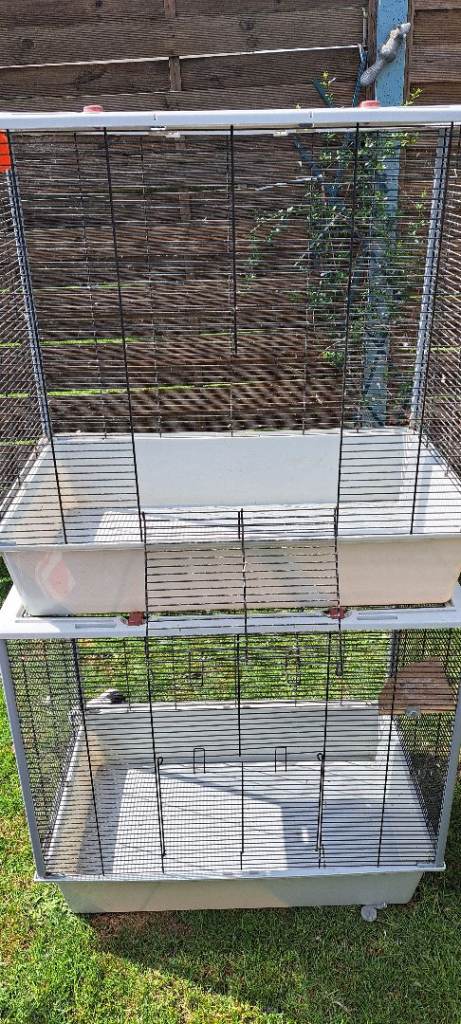 Bird or ferric cage