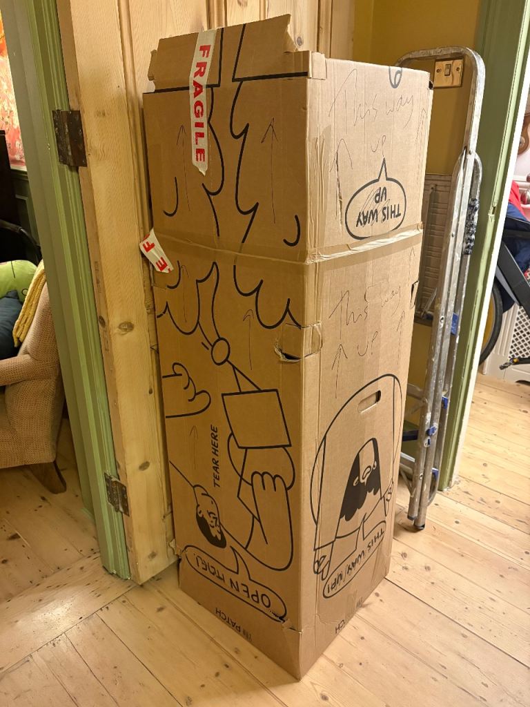 Pot grown Christmas tree (brand new)