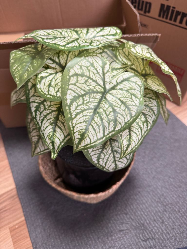 Artificial Heart Leaf Plant in Pot 