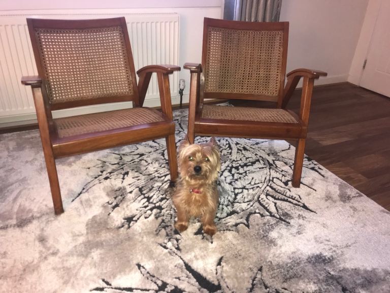 2 Vintage Burmese Armchairs for Sale