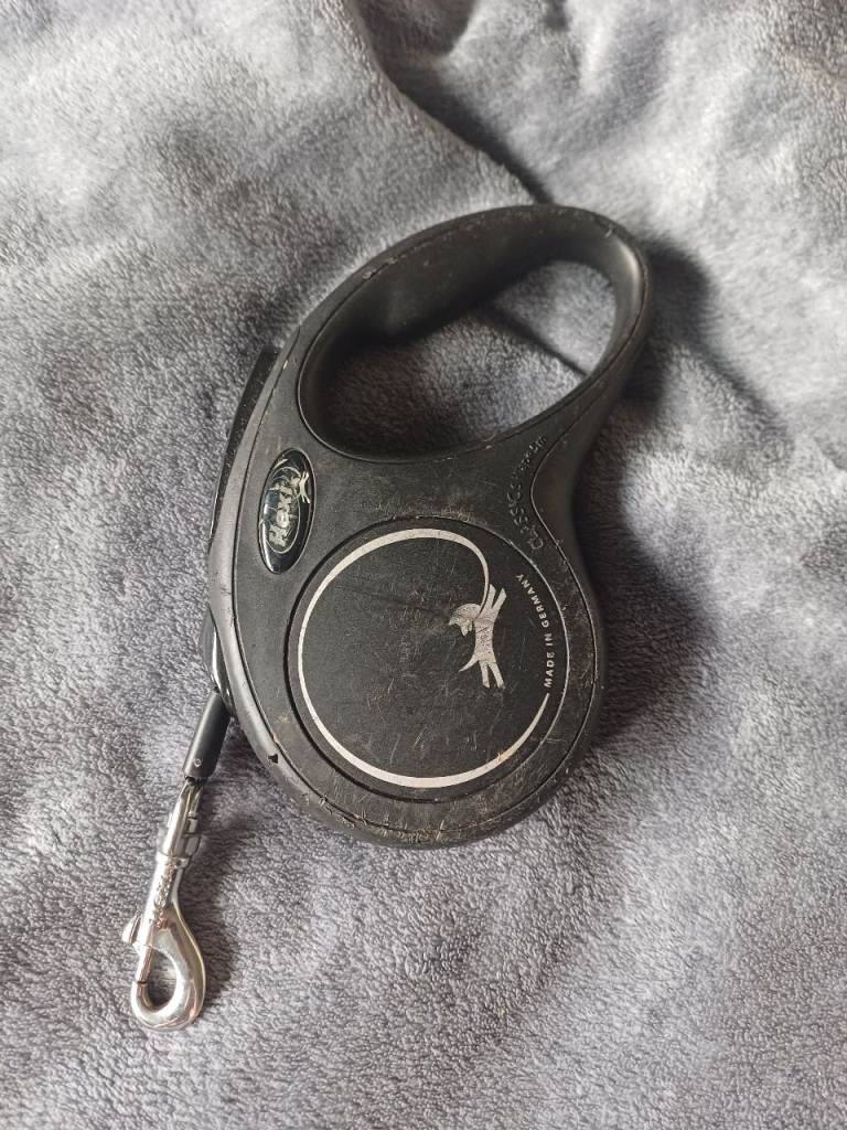 Flexi dog lead