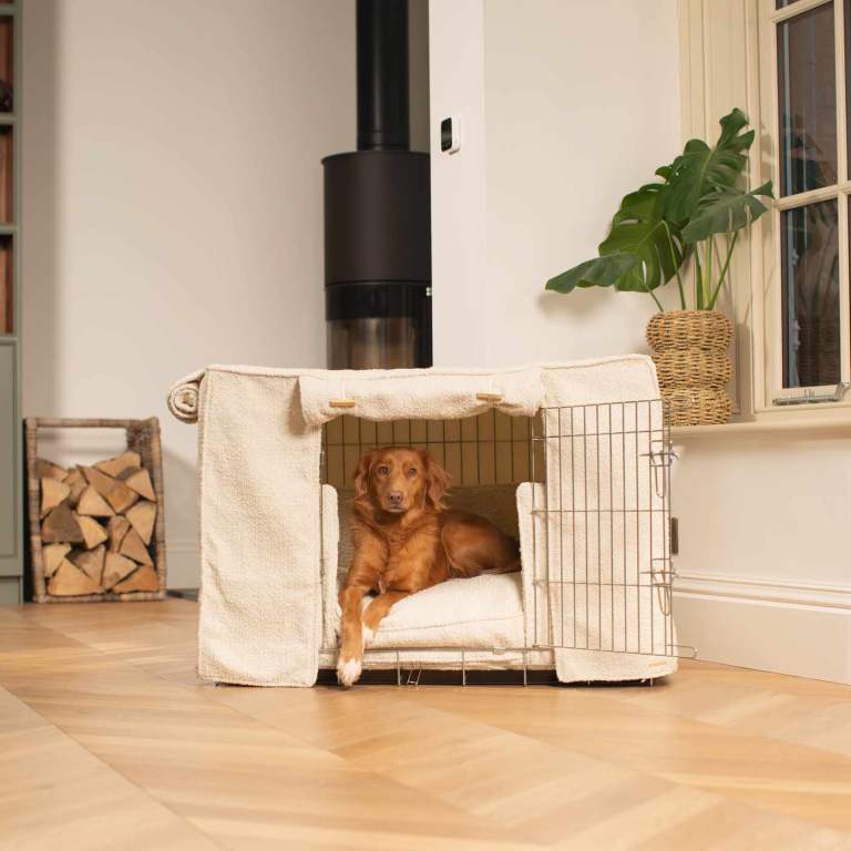 Lords & Labradors XL Luxury Dog Crate Set – Champagne Gold & Ivory Bouclé 