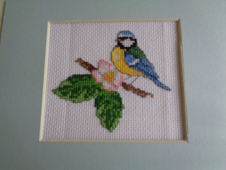 Completed cross stitch picture of a Blue Tit