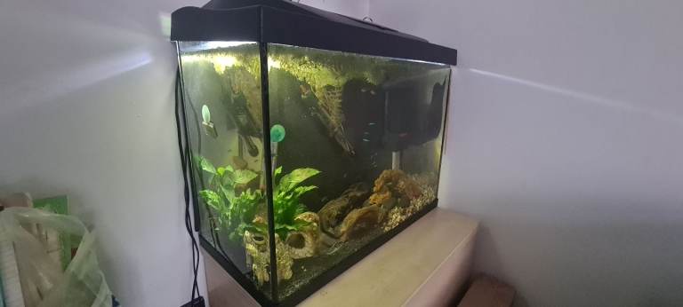80L Tetra Aquarium full setup