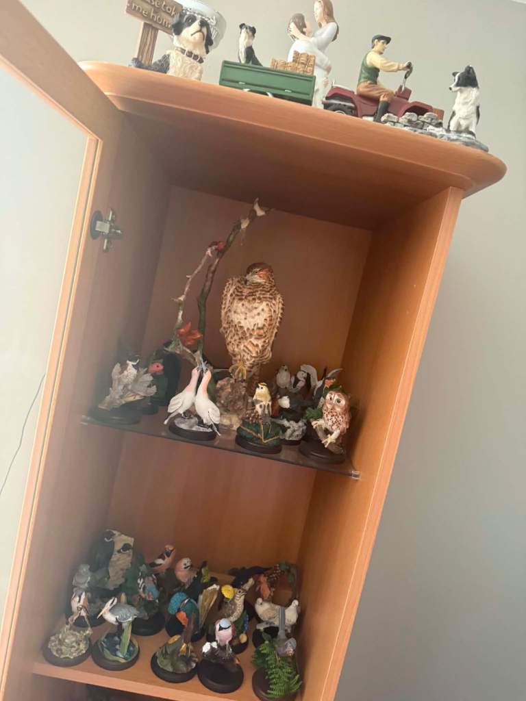 Brown Wood & Glass Display Cabinet with full Wild Bird Collection