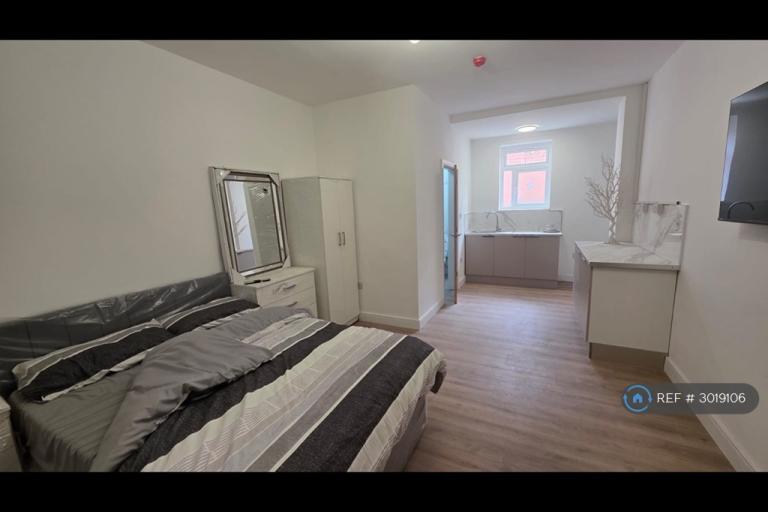 Studio flat in Sparkhill, Birmingham, B11 (#3019106)