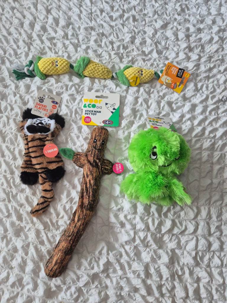 Dog toy bundle 