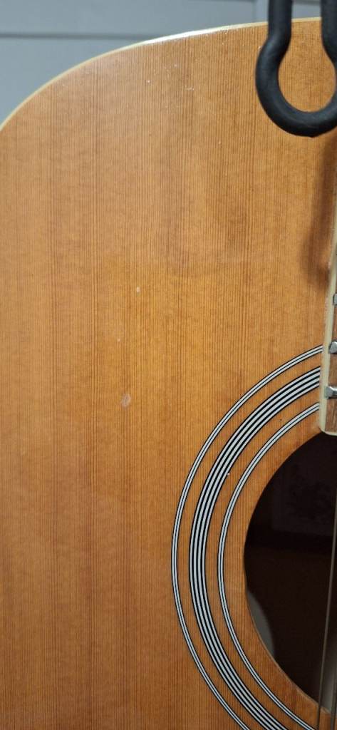 Star Fire 12 string acoustic guitar with case, capo, stand, strap and book.