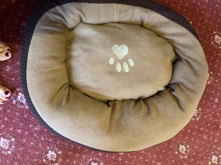 Dog beds for small dogs
