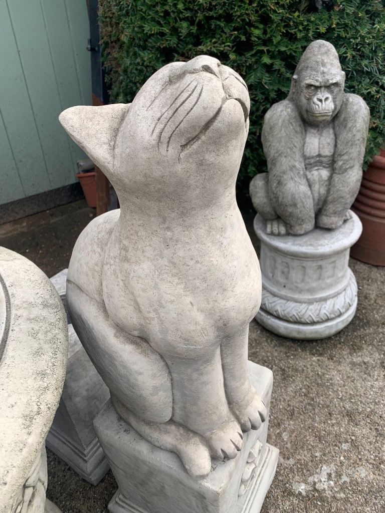 Happy Cat 