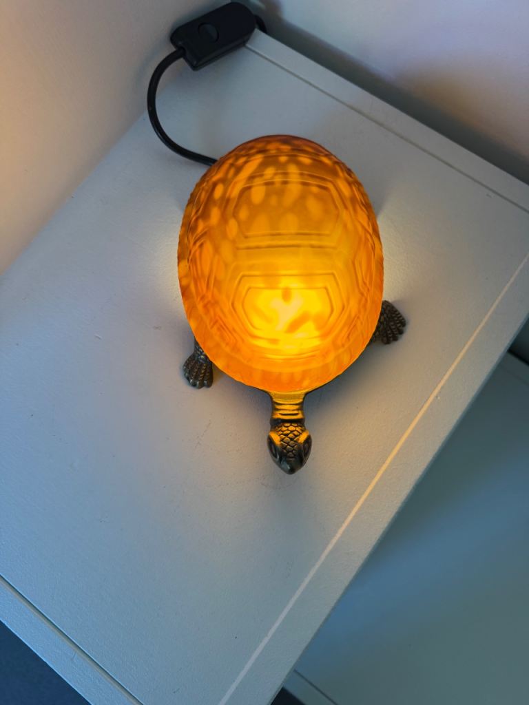 Small electric Tortoise light