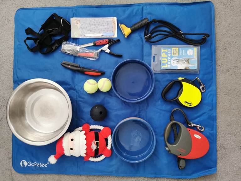 Dog starter kit including bowls, harness, leads and more