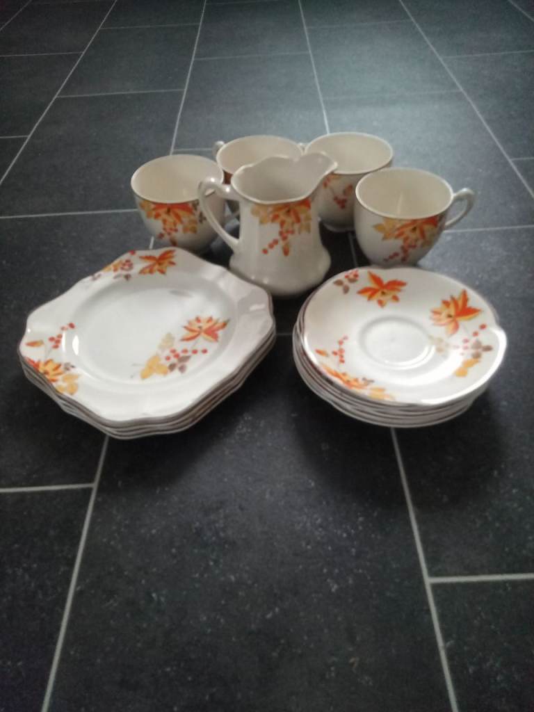 Vintage Tea Set with Autumn Leaf Design – Good Condition
