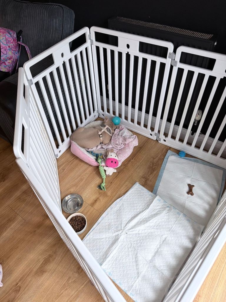 Dog pen