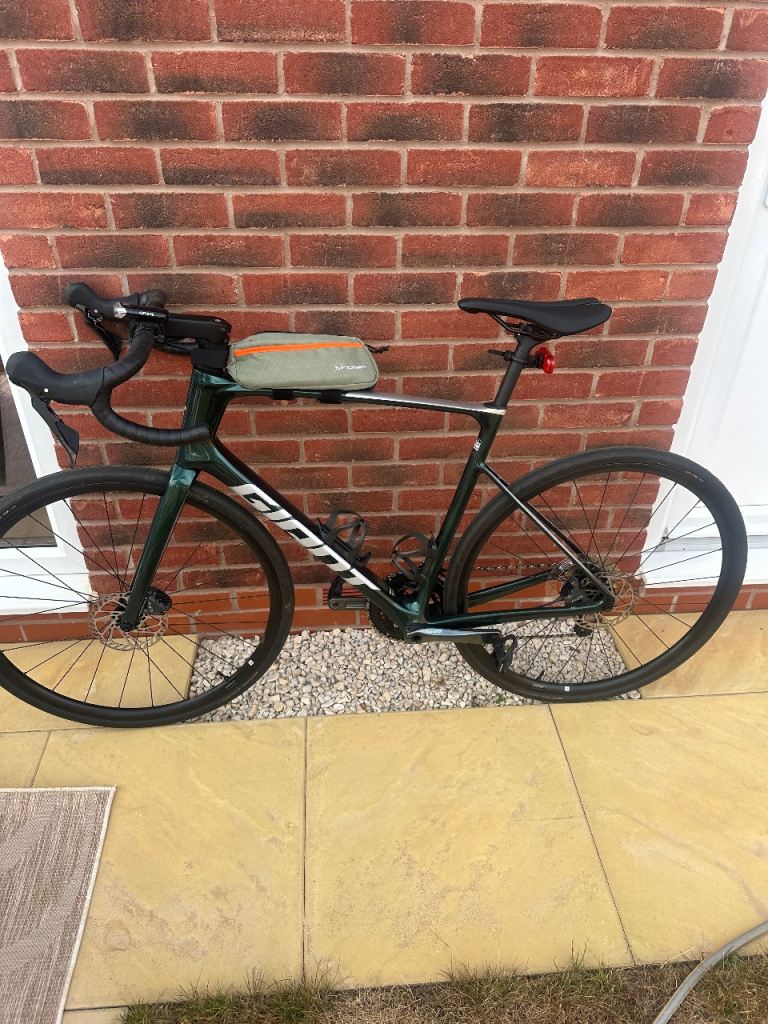 Giant Defy Advanced 3 LARGE Kelp Forest/Silver