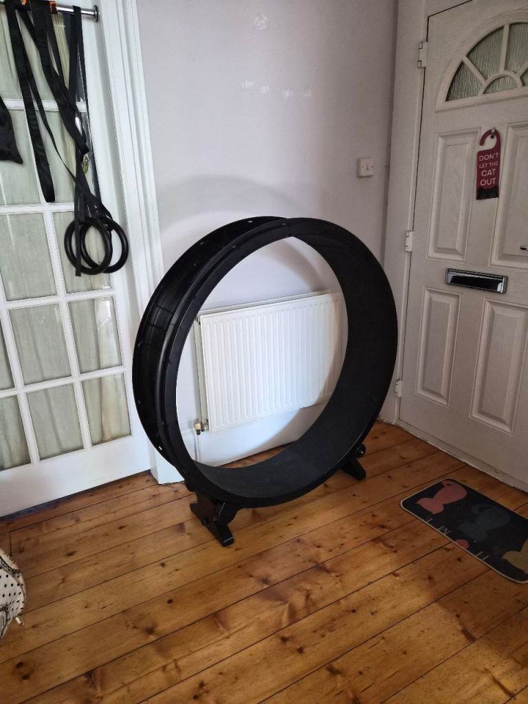 Cat exercise wheel 