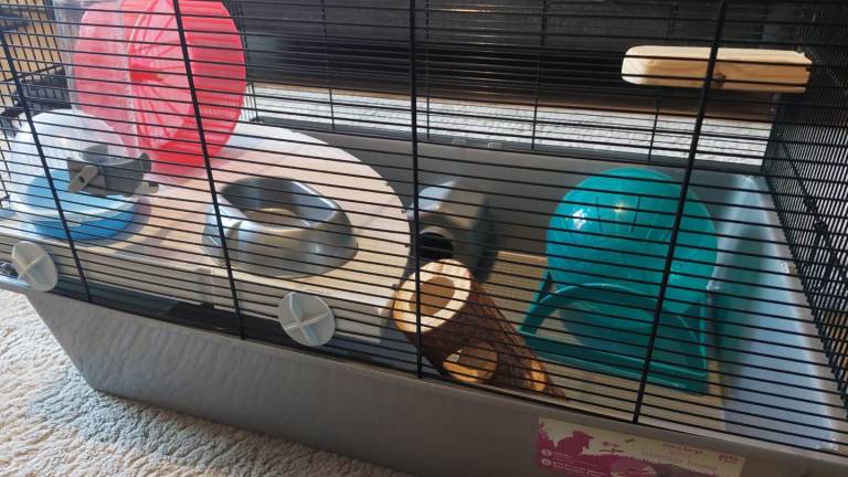 Extra Large Wire Hamster Home - starter kit
