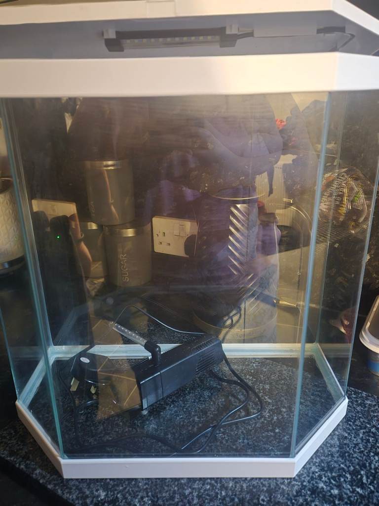 Glass fish tank