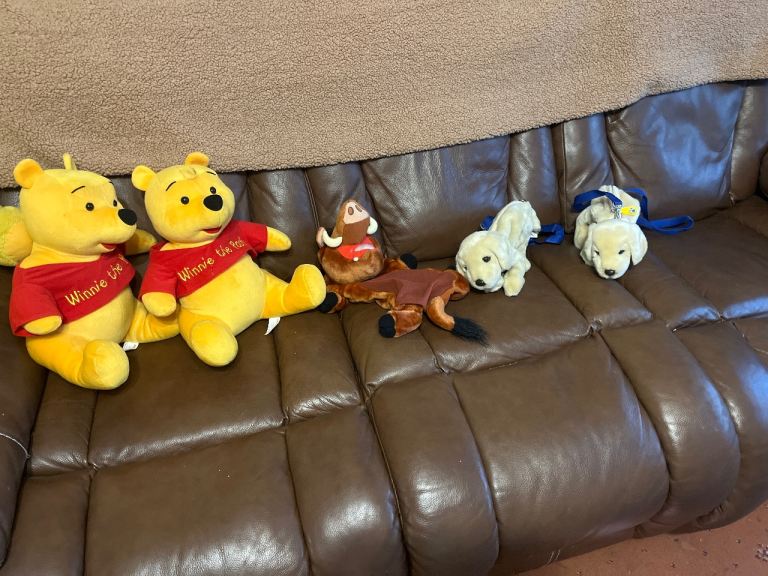 Selection of Cudley toys all as new PJ cases as well