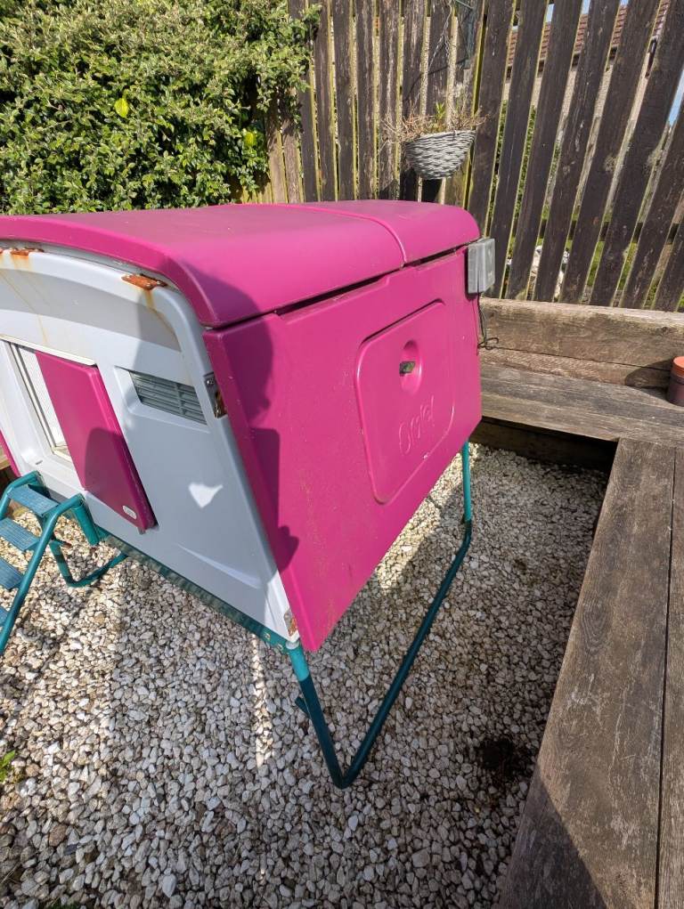 Eglu chicken coop, fencing and accessories 