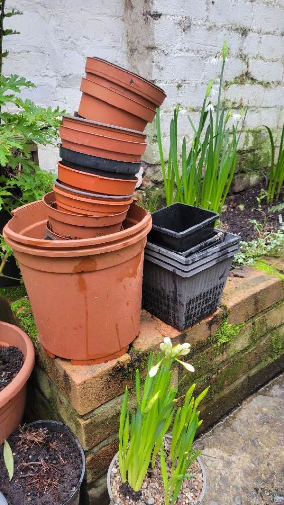 Free Plastic Plant Pots & Pond Pots