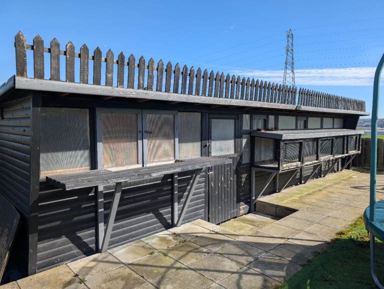 Eco lofts pigeon shed
