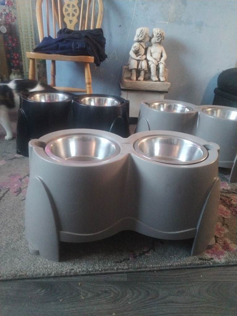 3 large dog bowls on stands
