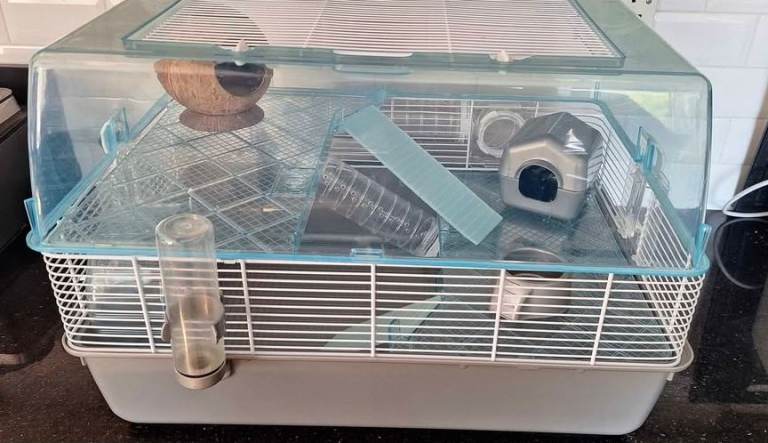 Dwarf/mouse cage with extras
