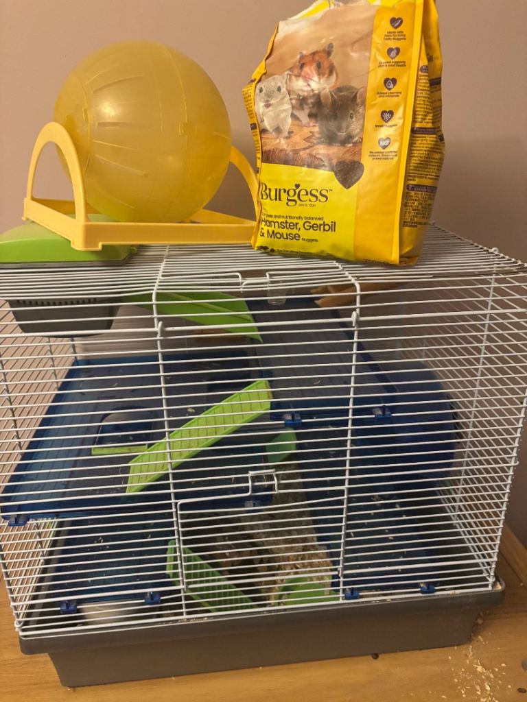 Hamster cage for sale