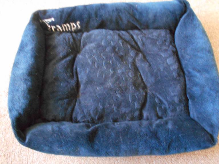 PET BED FOR CAT OR SMALL DOG.
