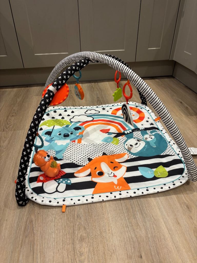 image for Fisher Price Play Mat