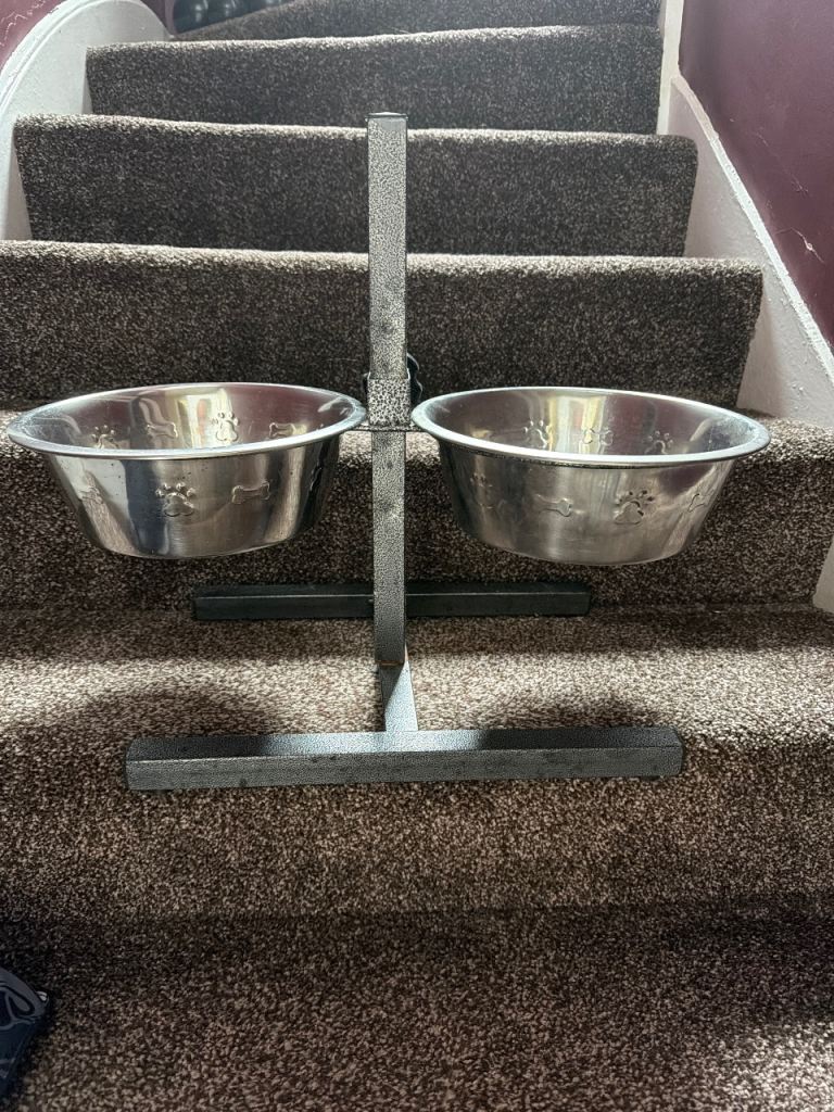 Dog bowls
