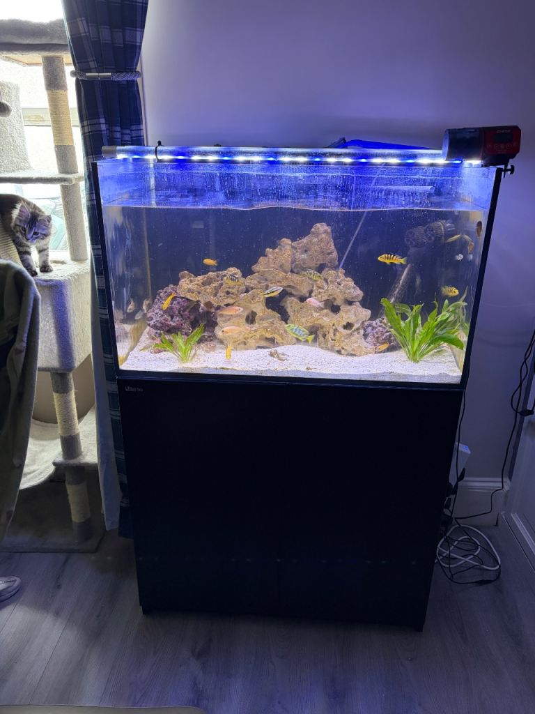 Red Sea reefer tank with sump and pipes