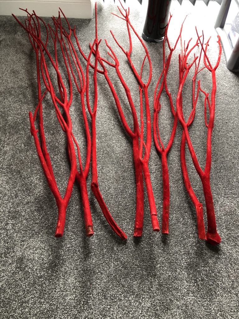 Large Red Twigs