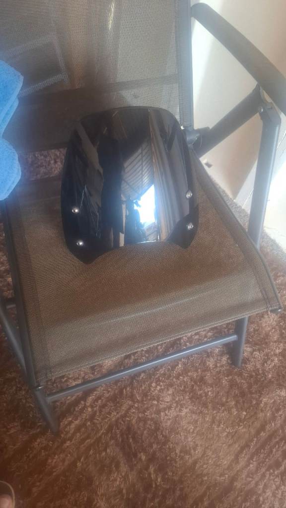 Triumph fly screen 