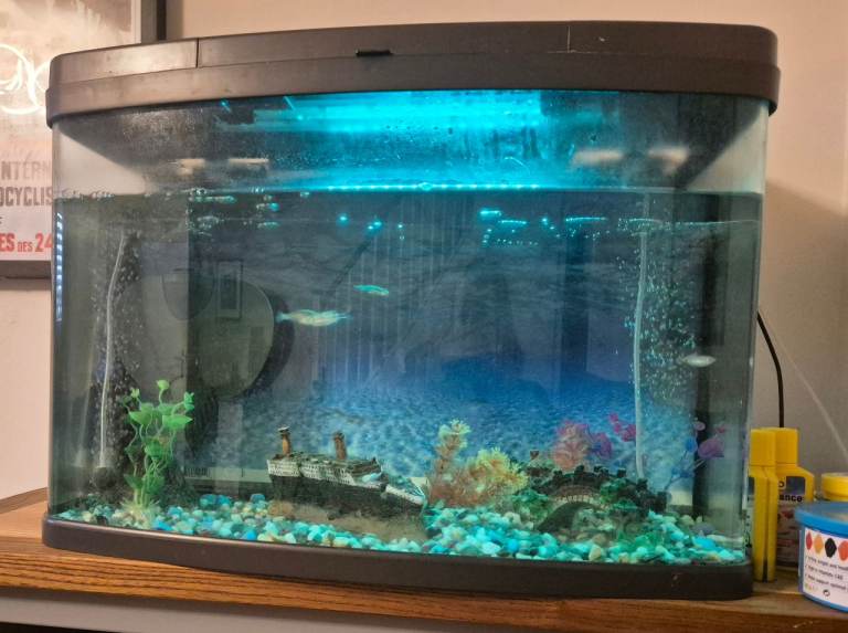 image for 60l aquarium/fish tank with 4 fish and accessories