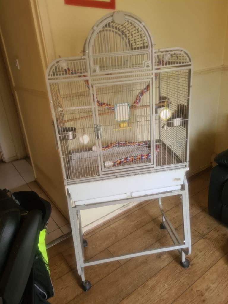 Parrot bird cage 