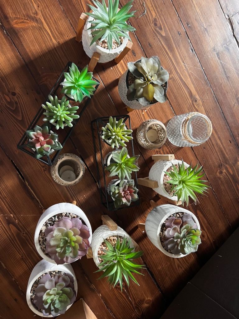 Set of Faux Plants & Holders – As Good As New